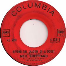 Neil Sheppard -- In My Imagination / Beyond the Shadow of a Doubt - 7