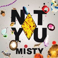 Not You - Misty EP