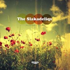 The Slakadeliqs -- The Other Side of Tomorrow