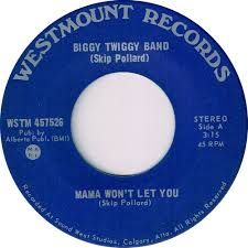 Biggy Twiggy Band -- Mama Won't Let You b/w I Don't Want That to Change - 7