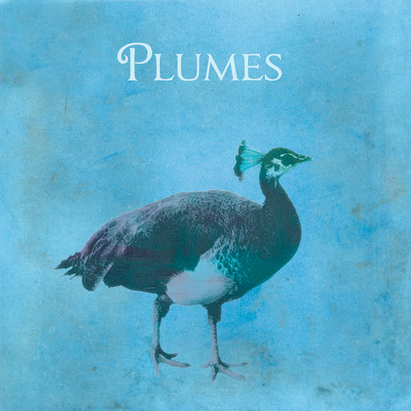 Plumes - Plumes