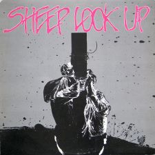 Sheep Look Up - Sheep Look Up 12