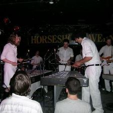 The Hylozoists - The Horseshoe - Toronto, On