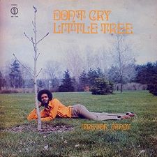 Trevor Dandy - Don't Cry Little Tree